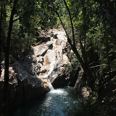 Pinevale QLD Tourism Cairns