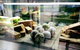 Ludlow Bar & Dining Room - thumb 2