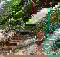 Larrimah Pink Panther Hotel - Tourism Cairns