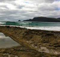 Bruny Island Berry Farm - Tourism Cairns