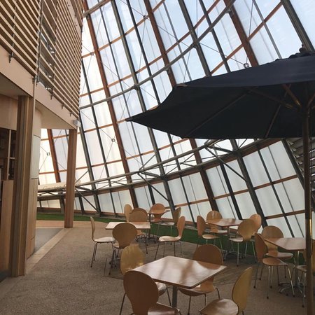 Eco Centre Cafe - Tourism Cairns 0