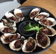 Get Shucked Oyster - Tourism Cairns