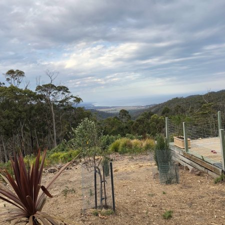St Mary's Bakery - Tourism Cairns 0