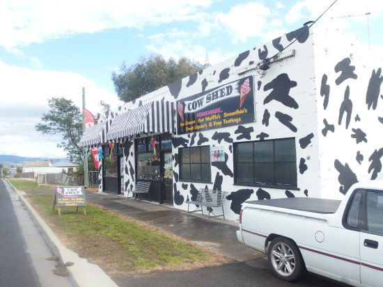 Avoca TAS Tourism Cairns