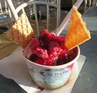 The Pondering Frog - Tourism Cairns