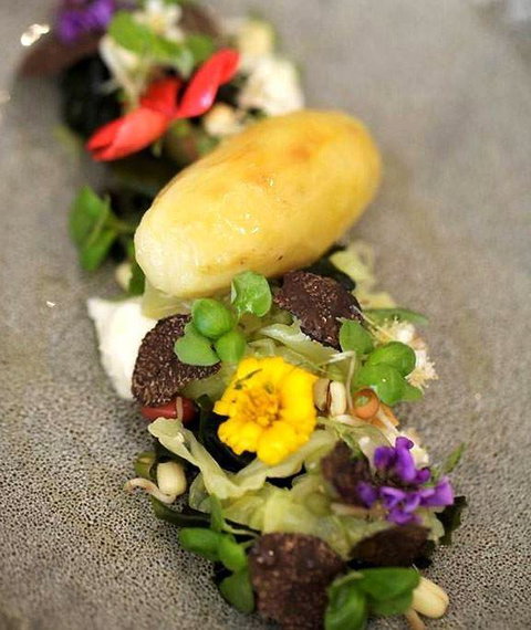 Brewsters Gallery Cafe - Tourism Cairns 4