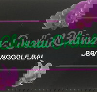 Chinese Orchid BBQ Noodle Bar - Tourism Cairns