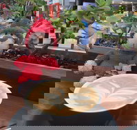 CXpresso - Tourism Cairns