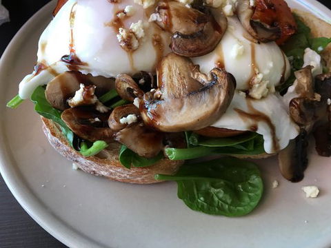 Hedgehogs Cafe - Tourism Cairns 0