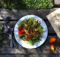 Fair Harvest Farm Cafe - Tourism Cairns