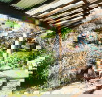 Badger  Frankie Espresso Bar - Tourism Cairns