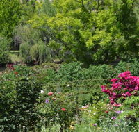 Berry Delightful - Tourism Cairns