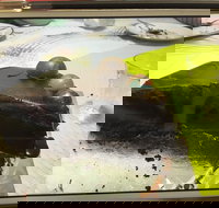 Baker Bear's Bakery - Tourism Cairns