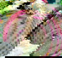 Thunderbird Kitchen - Tourism Cairns