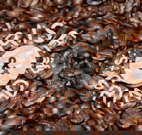 Qahwa Espresso Bar and Coffee Roasters - Tourism Cairns