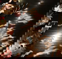 Murasaki Teppanyaki Broadbeach - Tourism Cairns