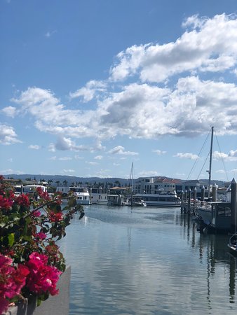 Blue Water Grill - Tourism Cairns 0