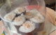 Marine Sushi - thumb 0