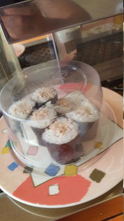 Marine Sushi - Tourism Cairns 0
