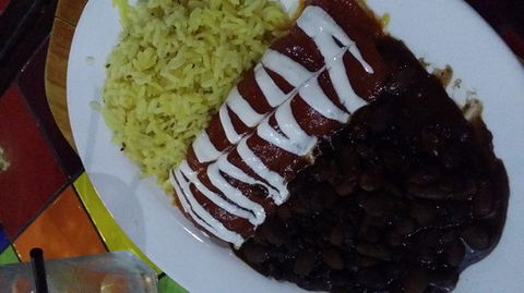 Pickled Cactus - Tourism Cairns 0