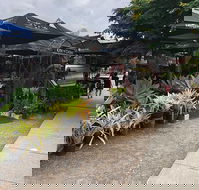 Kith 'n' Chow - Tourism Cairns