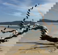 Over There Cafe - Tourism Cairns