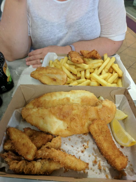 Balaclava Fish - Tourism Cairns 1