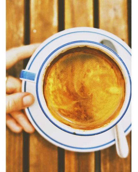 The Early Bird - Tourism Cairns 4