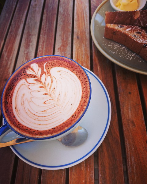 The Early Bird - Tourism Cairns 5