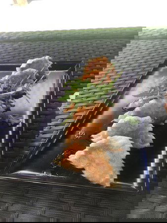 Samford QLD Tourism Cairns