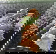 Three Black Sheep Cafe - Tourism Cairns