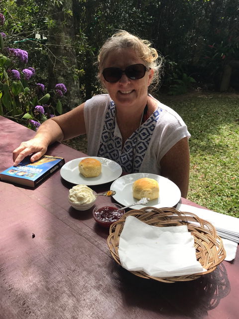 Ivy Cottage - Tourism Cairns 5