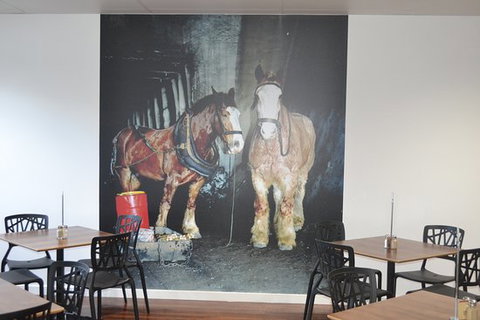 Pit Pony Hotel - Tourism Cairns 0