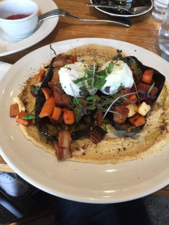 Miss Marmalade - Tourism Cairns 0