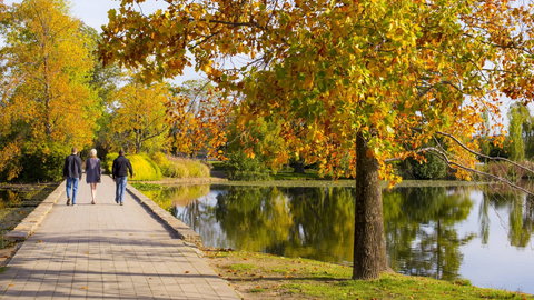 Crowne Plaza Canberra - Tourism Cairns 17