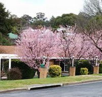 White Lanterns Motel - Tourism Cairns