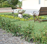 SureStay by BW The Clarence on Melville - Tourism Cairns