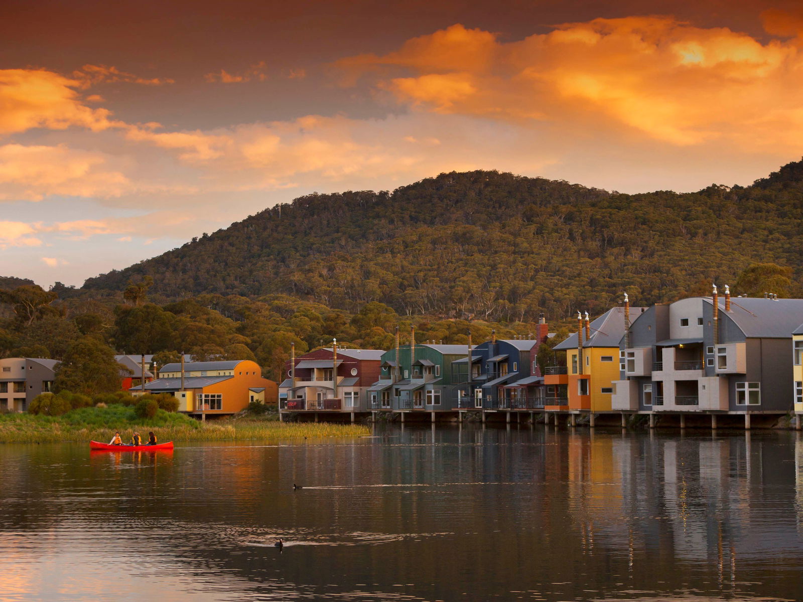 Avonside NSW Tourism Cairns