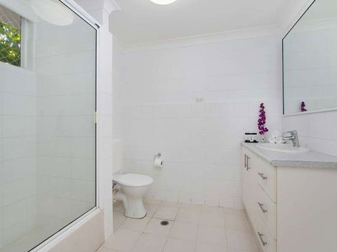 Cairns City Palms - Tourism Cairns 1
