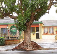 Garden City Motor Inn - Tourism Cairns