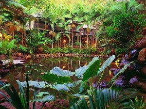 Daintree Eco Lodge & Spa - Tourism Cairns 0