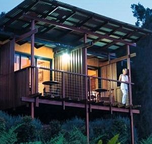 O'Reilly's Rainforest Guesthouse - Tourism Cairns 1