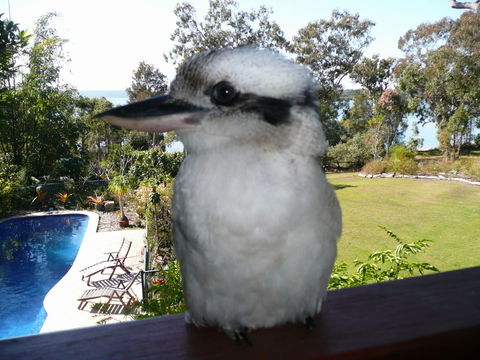 Yarrandabbi Dreaming Boutique B&B - Tourism Cairns 2