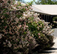 Wine Village Motor Inn - Tourism Cairns