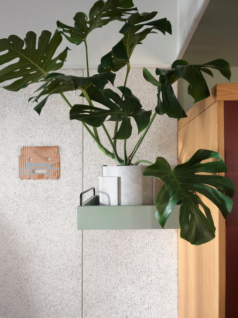 ACE Hotel Sydney - Tourism Cairns 0