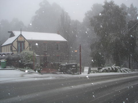 Adeline Bed & Breakfast - Tourism Cairns 1