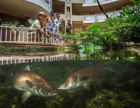 DoubleTree by Hilton Cairns - Tourism Cairns 4