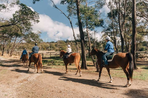 Country Club Tasmania - Tourism Cairns 0