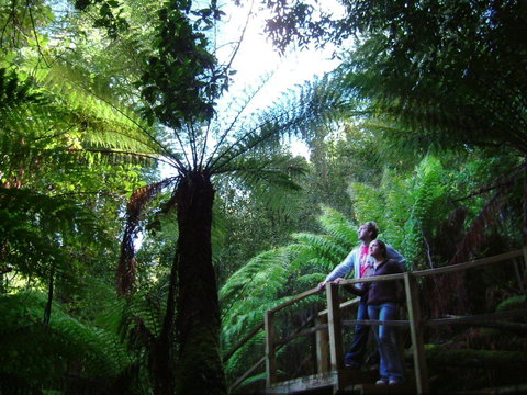 Huon Bush Retreats - Tourism Cairns 1