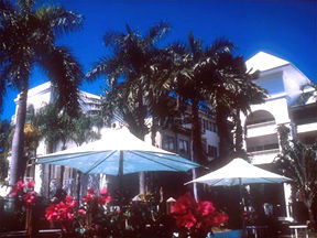 Alamanda Palm Cove - Tourism Cairns 1